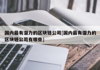 国内最有潜力的区块链公司[国内最有潜力的区块链公司有哪些]