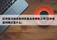 区块链注册非盈利性基金有哪些公司[区块链盈利模式是什么]